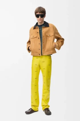 Chaqueta tipo camionero de piel de cabra de gamuza
