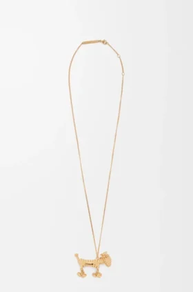 Collar de perro salchicha