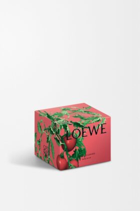 Exfoliante corporal Hojas de tomatera