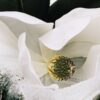 Loewe Aura Magnolia Blanca 100 ml Loewe Aura Magnolia Blanca 100 ml