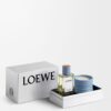 LOEWE Perfumes para el hogar Set de regalo de bolas de ciprés LOEWE Perfumes para el hogar Set de regalo de bolas de ciprés
