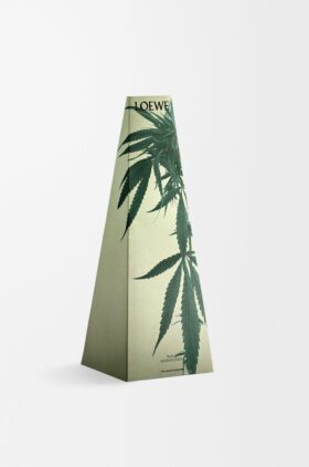Portavelas con aroma a Scent of Marihuana
