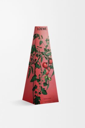 Portavelas de cera «Hojas de tomatera»