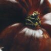 Portavelas de cera «Hojas de tomatera» Portavelas de cera «Hojas de tomatera»