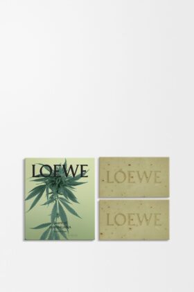 Set de dos jabones con aroma a marihuana