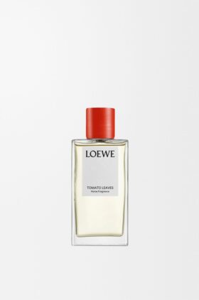 Spray para el hogar con hojas de tomatera