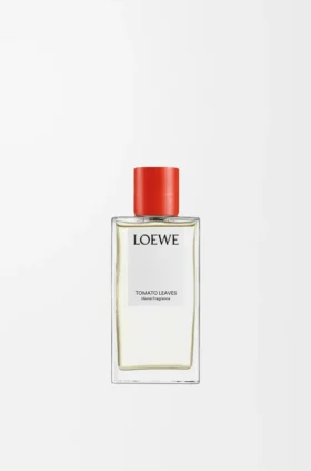Spray para el hogar con hojas de tomatera
