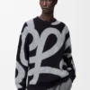 Sudadera de lana y algodón Sudadera de lana y algodón