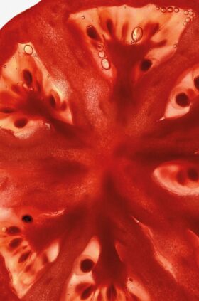 Limpiador de manos de hojas de tomatera