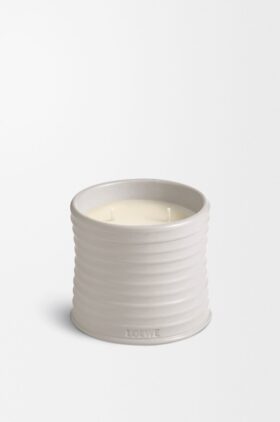 Vela de orégano mediana