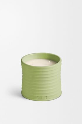 Vela de pepino mediana