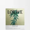 Vela grande con Scent of Marihuana
