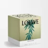 Vela grande con Scent of Marihuana