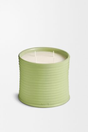Vela grande de pepino