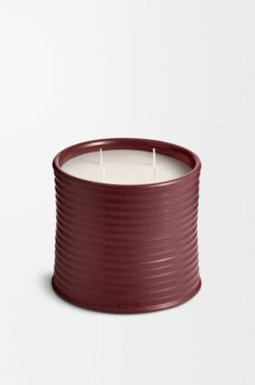 Vela grande de remolacha