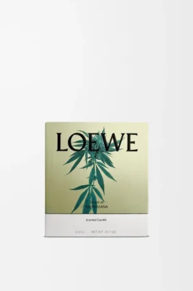 Vela mediana con Scent of Marihuana
