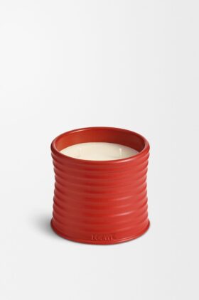 Vela mediana de hojas de tomatera