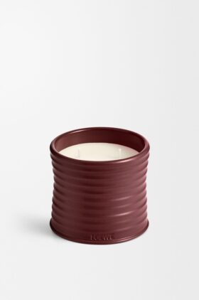 Vela mediana de remolacha