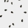 Vela Midi Black Sesame Vela Midi Black Sesame