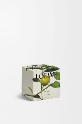 Vela Midi Earl Grey Vela Midi Earl Grey