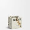 Vela Midi Sweet Almond Vela Midi Sweet Almond