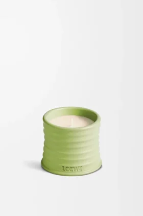 Vela pequeña de pepino