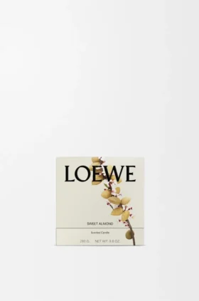 Vela perfumada Midi de almendra dulce