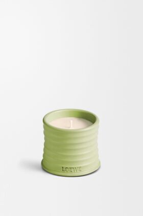 Vela «Small Pepino»