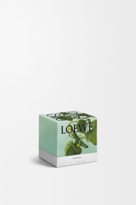 Vela «Small Pepino»